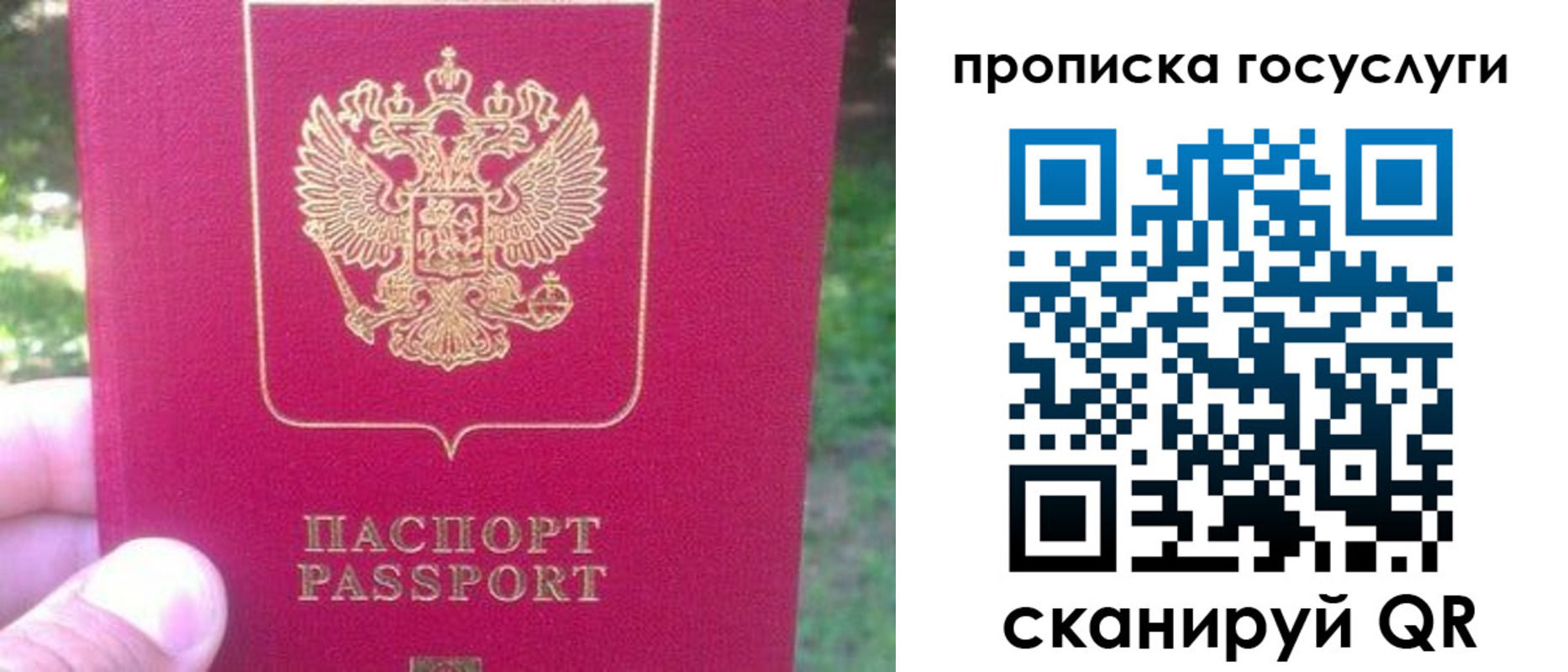временная регистрация собственник в Тосно